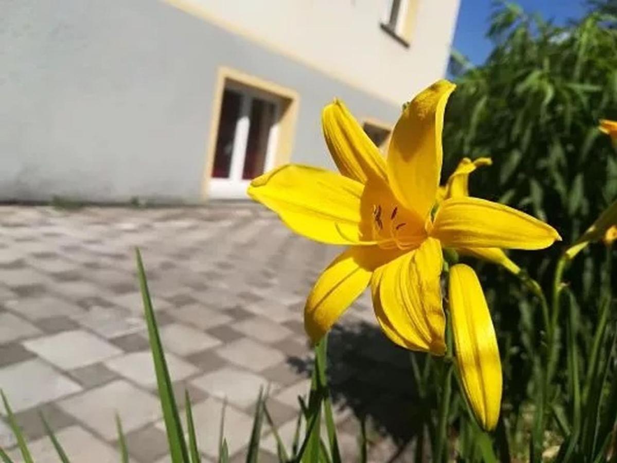 Haus Am Apfelbaum Apartment บัดแซคคิงเงน ภายนอก รูปภาพ
